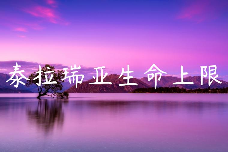 泰拉瑞亚生命上限