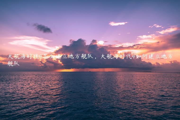 大航海时代4怎么建立地方舰队，大航海时代4如何建立地方舰队