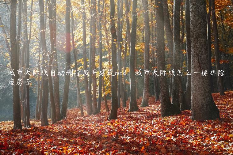 城市天际线自动删除废弃建筑mod，城市天际线怎么一键拆除废房子