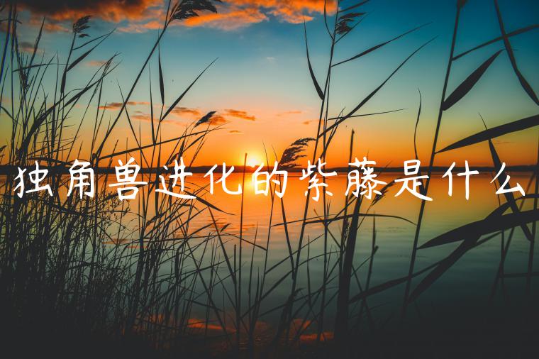 独角兽进化的紫藤是什么