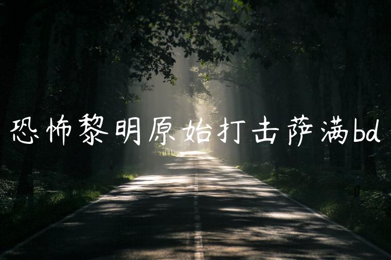 恐怖黎明原始打击萨满bd