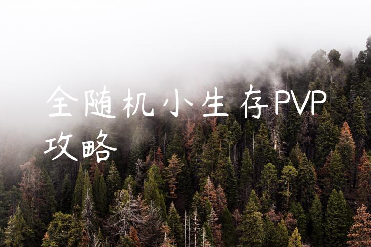 全随机小生存PVP攻略