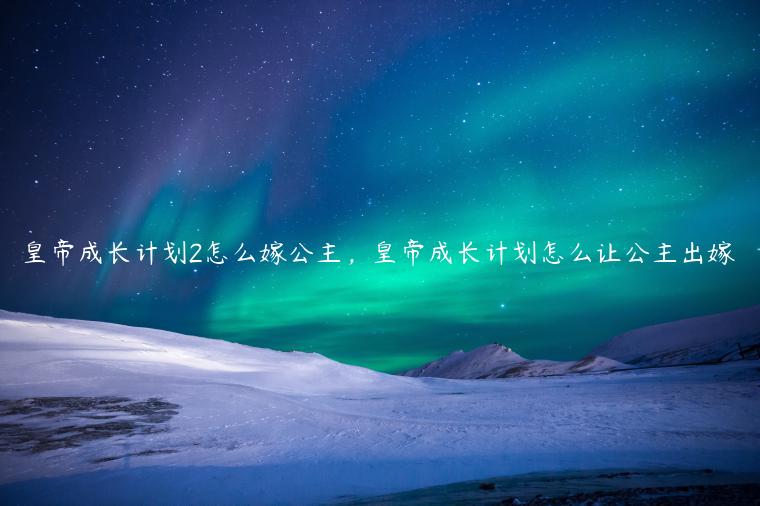皇帝成长计划2怎么嫁公主，皇帝成长计划怎么让公主出嫁