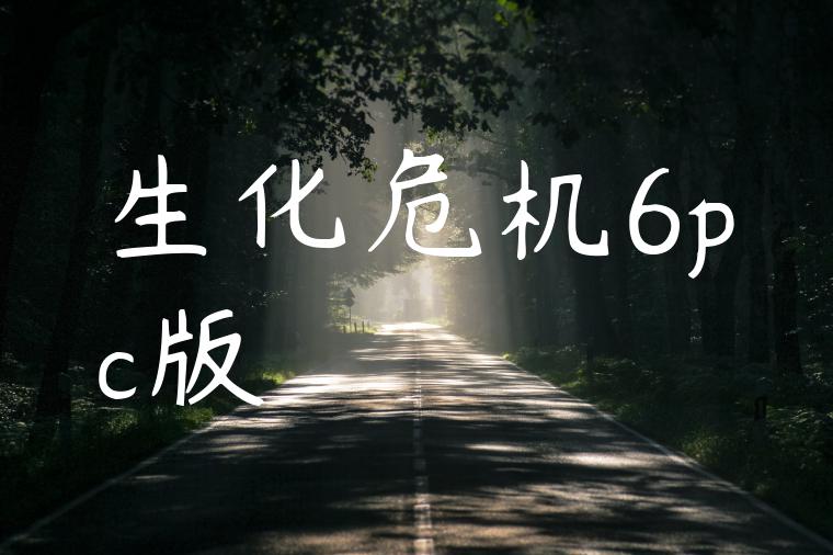 生化危机6pc版