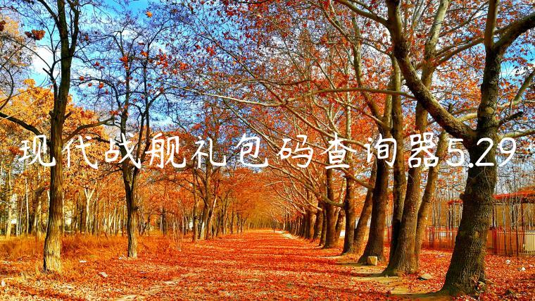 现代战舰礼包码查询器5.29