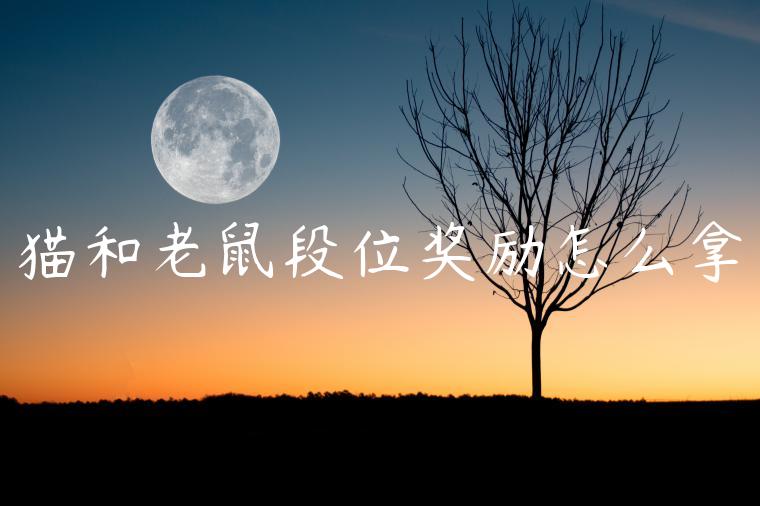 猫和老鼠段位奖励怎么拿