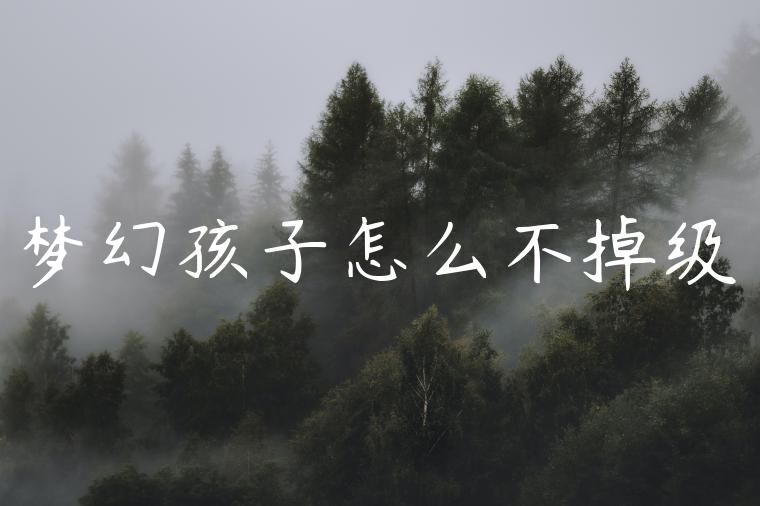 梦幻孩子怎么不掉级
