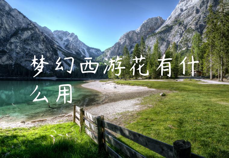 梦幻西游花有什么用