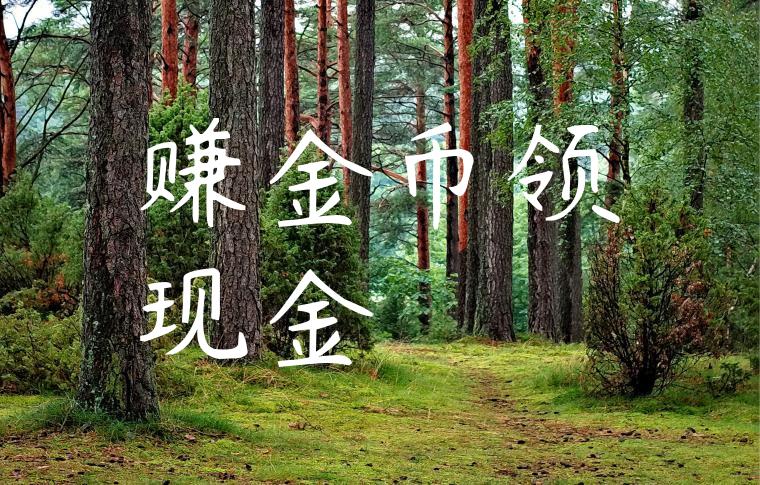 赚金币领现金
