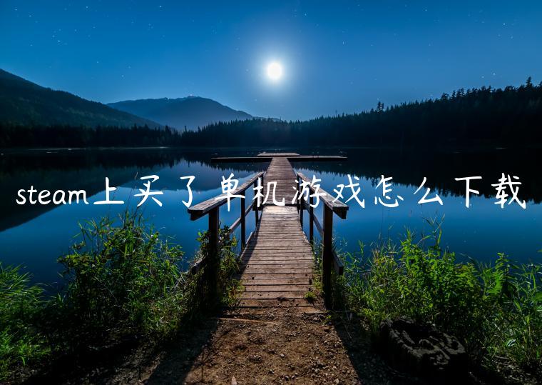 steam上买了单机游戏怎么下载