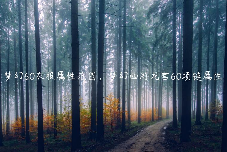 梦幻60衣服属性范围，梦幻西游龙宫60项链属性