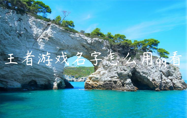 王者游戏名字怎么用qq看