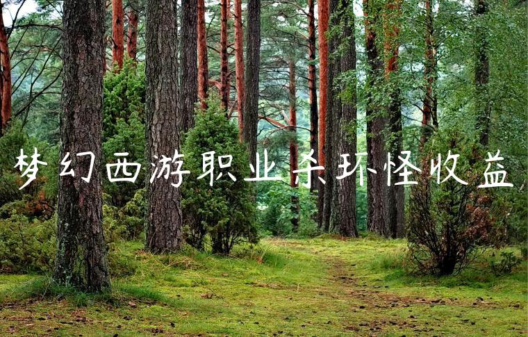 梦幻西游职业杀环怪收益