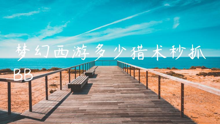 梦幻西游多少猎术秒抓BB