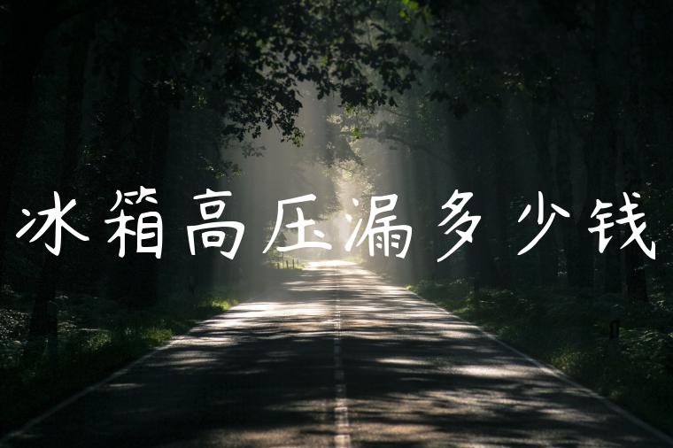 冰箱高压漏多少钱