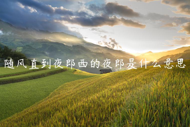 随风直到夜郎西的夜郎是什么意思