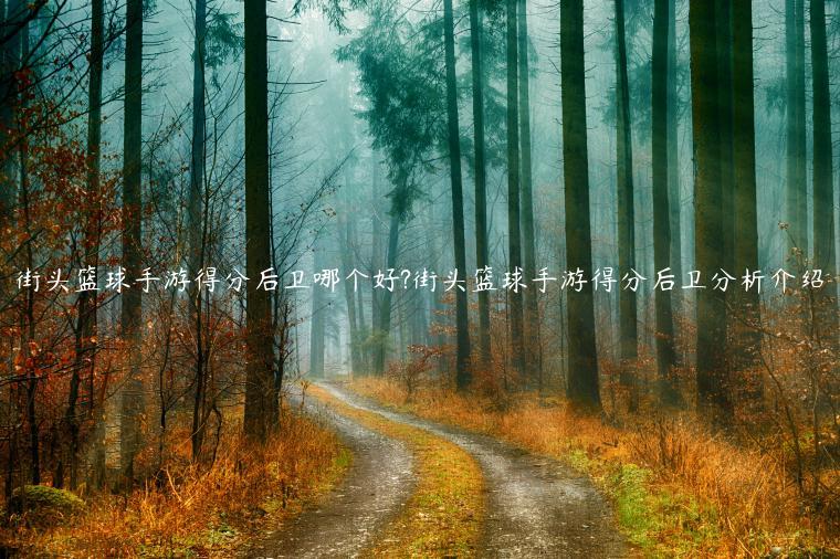 街头篮球手游得分后卫哪个好?街头篮球手游得分后卫分析介绍