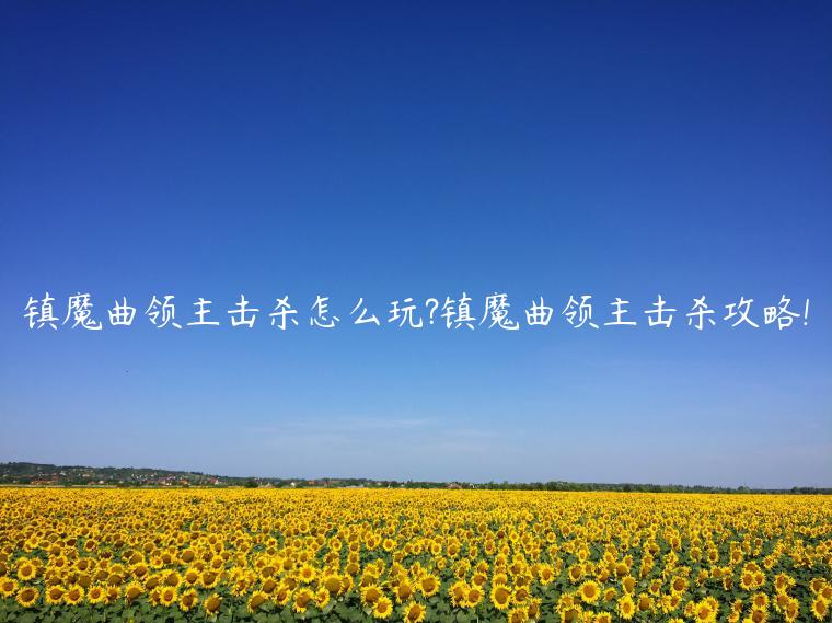 镇魔曲领主击杀怎么玩?镇魔曲领主击杀攻略!