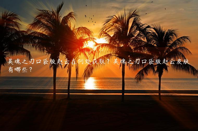 英魂之刃口袋版赵云在何处获取？英魂之刃口袋版赵云皮肤有哪些？