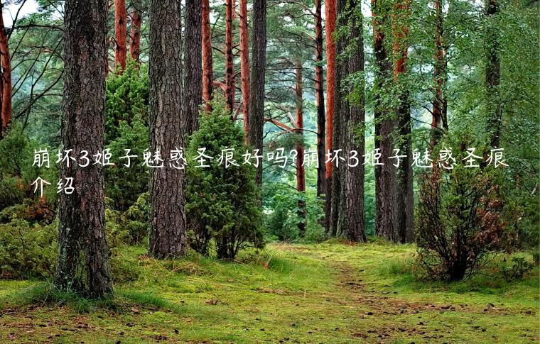 崩坏3姬子魅惑圣痕好吗?崩坏3姬子魅惑圣痕介绍