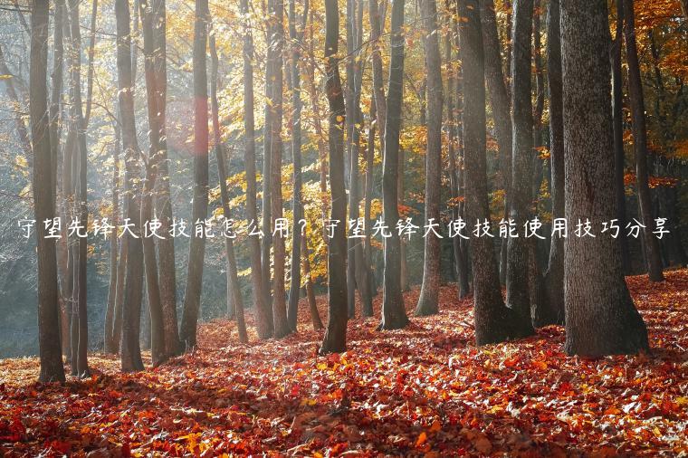守望先锋天使技能怎么用？守望先锋天使技能使用技巧分享