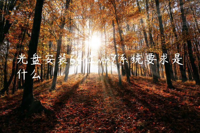 光盘安装64位win7系统要求是什么