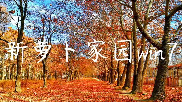 新萝卜家园win7