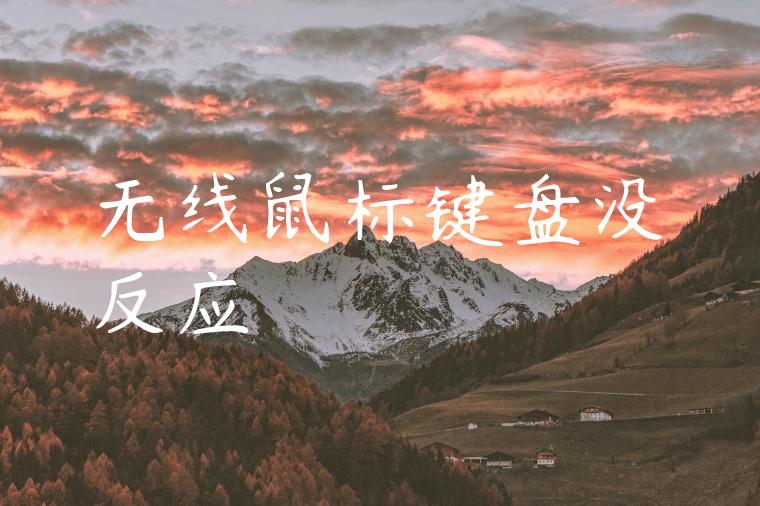 无线鼠标键盘没反应
