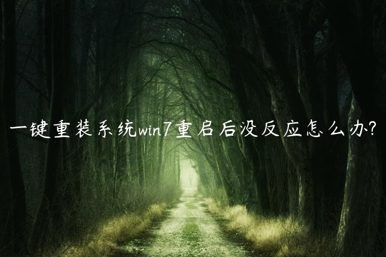 一键重装系统win7重启后没反应怎么办?