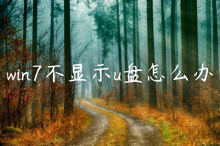 win7不显示u盘怎么办