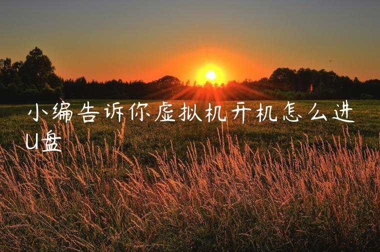 小编告诉你虚拟机开机怎么进U盘