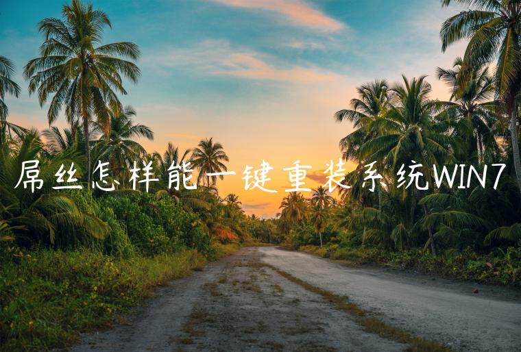 屌丝怎样能一键重装系统WIN7