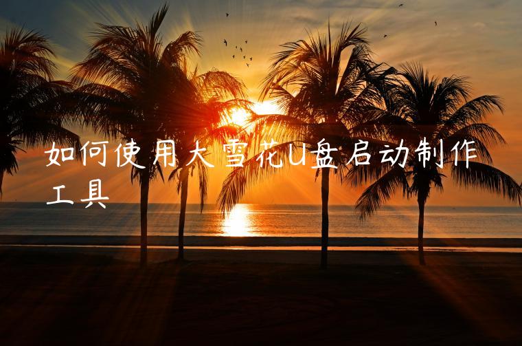 如何使用大雪花U盘启动制作工具