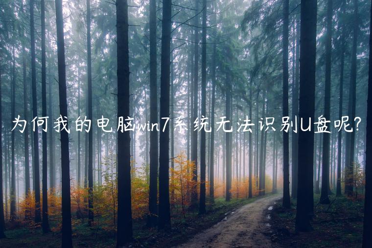 为何我的电脑win7系统无法识别U盘呢?