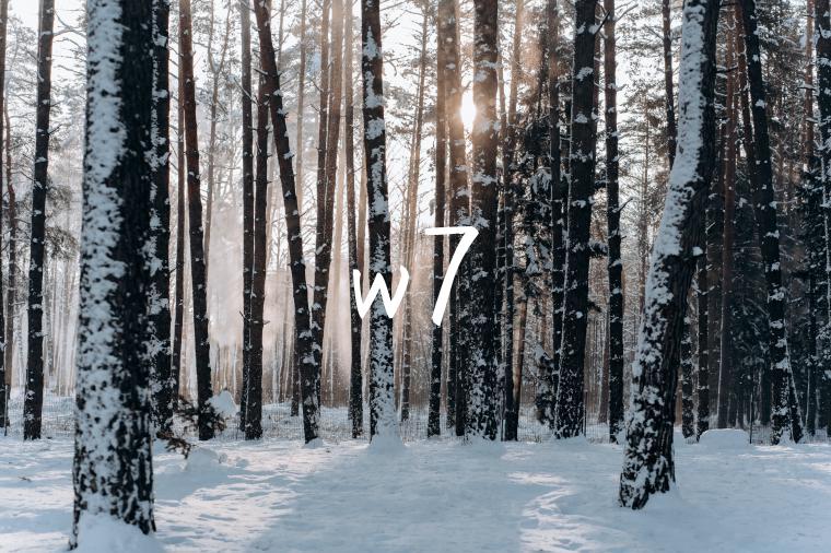 w7