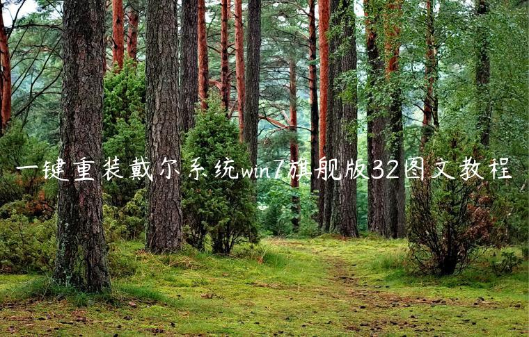 一键重装戴尔系统win7旗舰版32图文教程