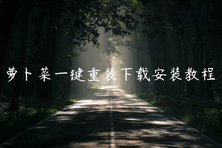 萝卜菜一键重装下载安装教程