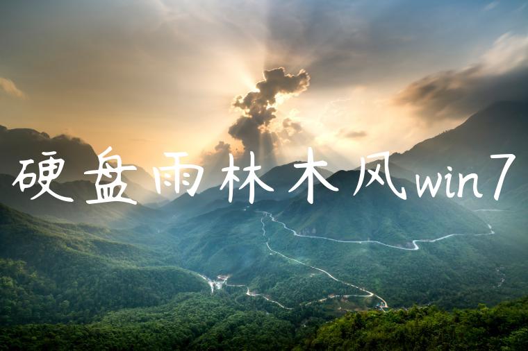 硬盘雨林木风win7