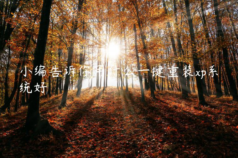 小编告诉你用什么一键重装xp系统好