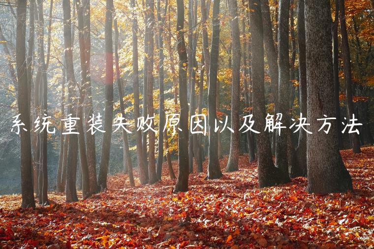 系统重装失败原因以及解决方法