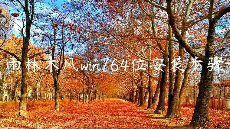 雨林木风win764位安装步骤