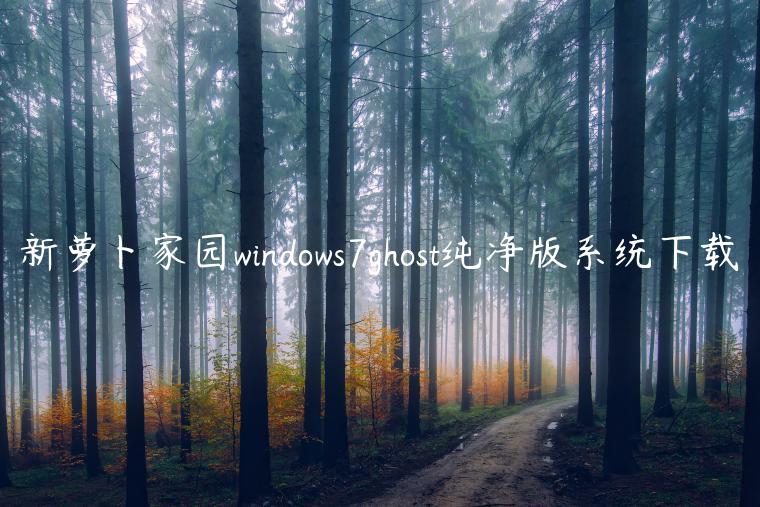 新萝卜家园windows7ghost纯净版系统下载