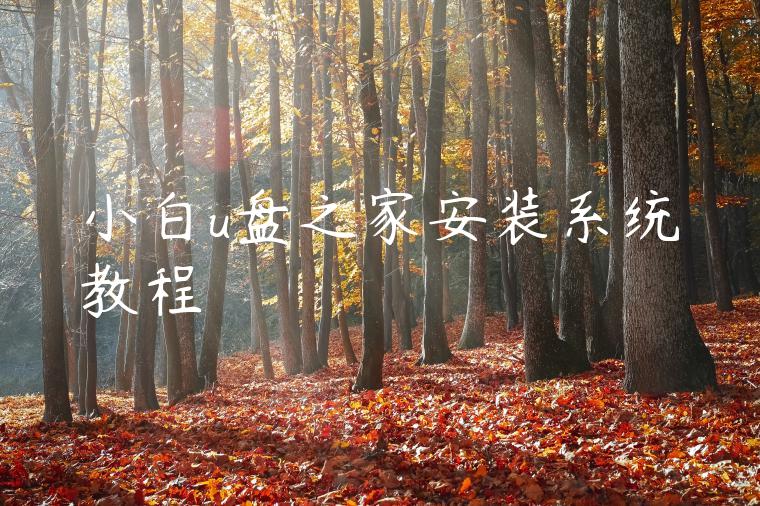 小白u盘之家安装系统教程