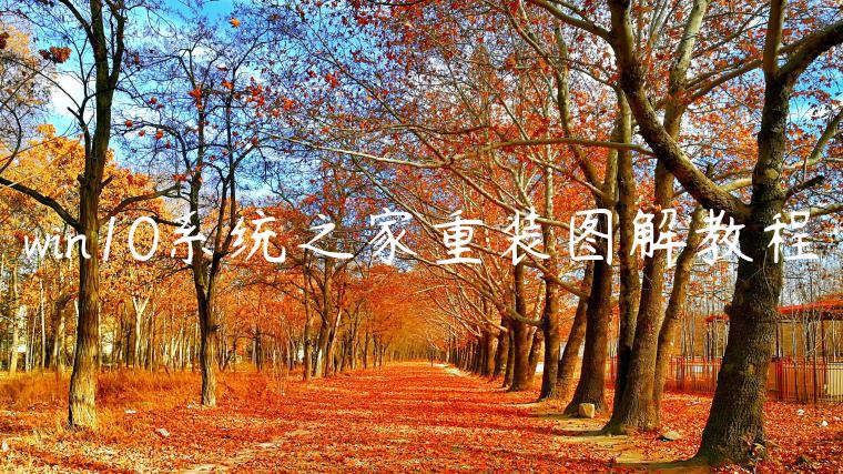 win10系统之家重装图解教程