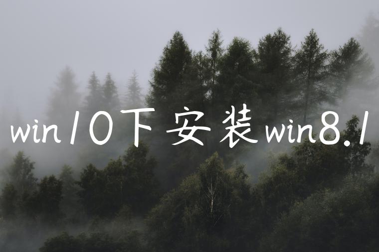 win10下安装win8.1