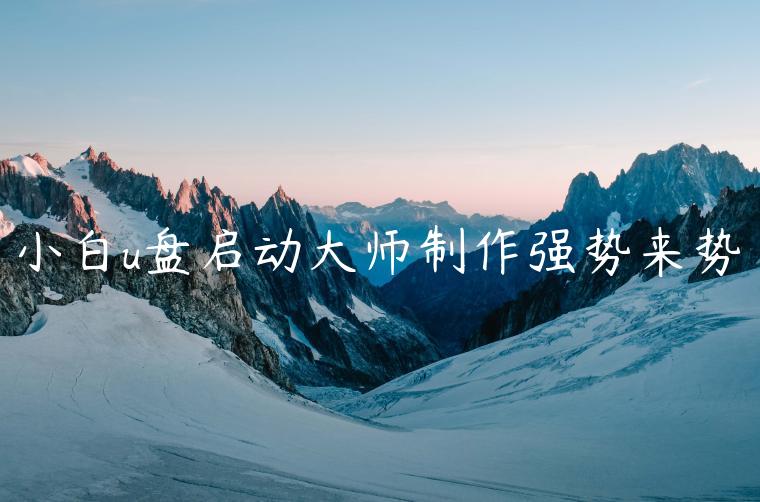 小白u盘启动大师制作强势来势