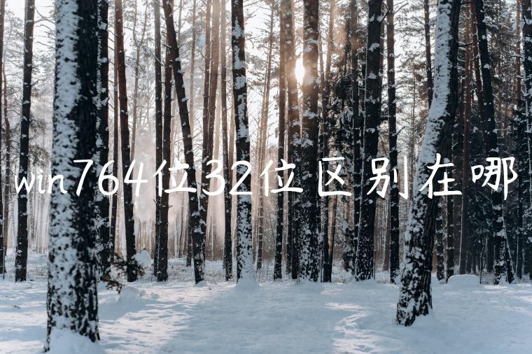 win764位32位区别在哪