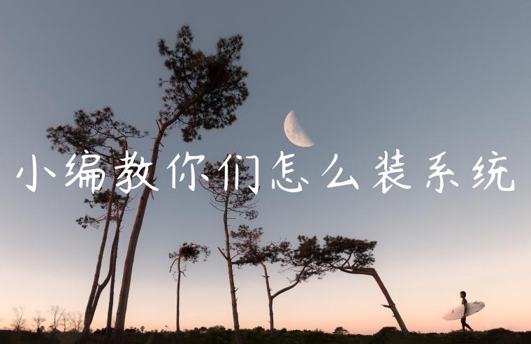 小编教你们怎么装系统