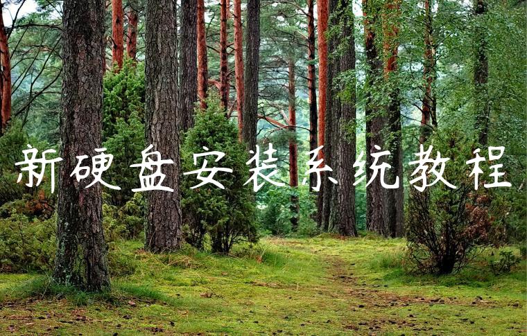 新硬盘安装系统教程