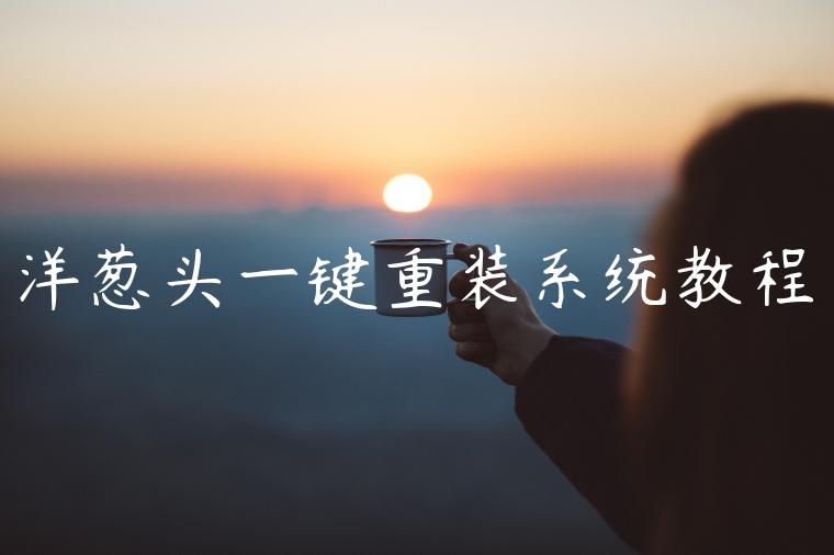 洋葱头一键重装系统教程